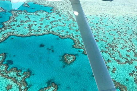 Whitsunday Islands 1-Hour Reef Scenic Helicopter Tour - Book Restaurant 3