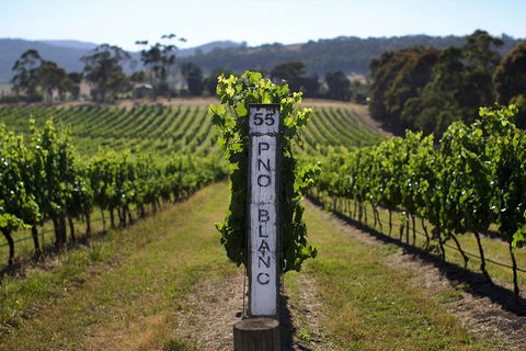 The Ultimate Yarra Valley Food And Wine Small Group Tour (Max 6 Guests) - Book Restaurant 2