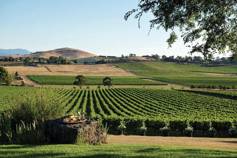 Small Group 6 Guests: Ultimate Yarra Valley Food And Wine - Mercedes Van - Book Restaurant 4