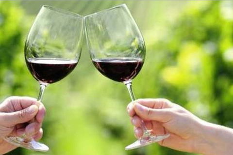 Yarra Valley Premium Tour Inc Lunch And Cheese And Wine Pairing At De Bortoli - Book Restaurant 5