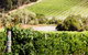 Yarra Valley Premium Tour Inc Lunch And Cheese, Chocolate Fondue At Rochford - thumb 5