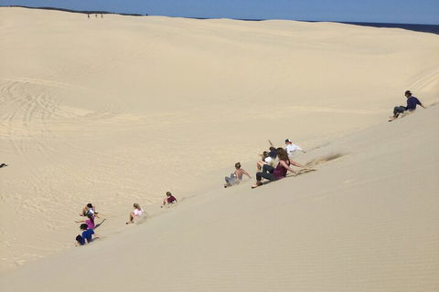 Port Stephens Bush, Beach And Sand Dune 4WD Passenger Tour - Book Restaurant 4