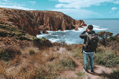 Private Phillip Island & Penguin Parade Hiking Tour From Melbourne - Book Restaurant 5