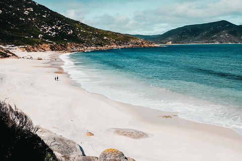 Small Group - Wilsons Promontory Hiking Day Tour From Melbourne - Book Restaurant 2
