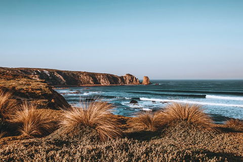 Small Group - Phillip Island Hike & Penguin Parade Day Tour From Melbourne - Book Restaurant 0