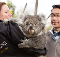 Bonorong Wildlife Park and Richmond Afternoon Tour from Hobart - Book Restaurant