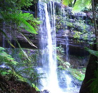 Mt Field National Park and Russell Falls from Hobart - Book Restaurant
