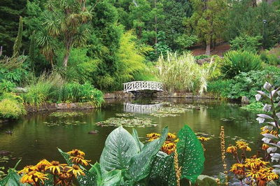Hobart Half-Day Sightseeing Coach Tram Tour
