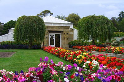 Hobart City Sightseeing Tour Including MONA Admission