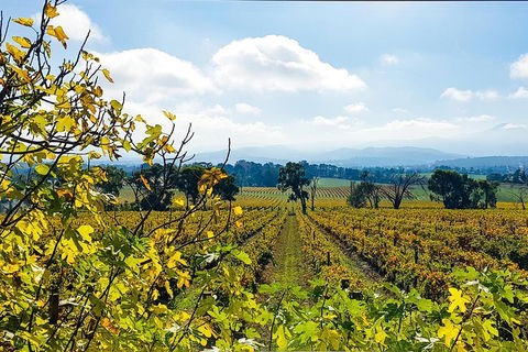Yarra Valley Wine & Food Tour Departing From Melbourne - Book Restaurant 4