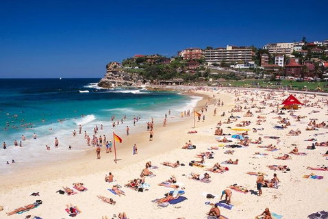 Sydney Private Day Tours | Main Attractions And Highlights | 6 Hour Private Tour - Book Restaurant 2