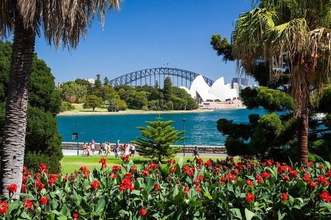 Sydney Luxury Private Shore Excursion | 6 Hr Tour | Departs From Cruise Terminal - Book Restaurant 5