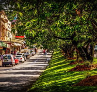 Fully Inclusive Blue Mountains Private Tour inc Scenic World  Featherdale entry - Book Restaurant