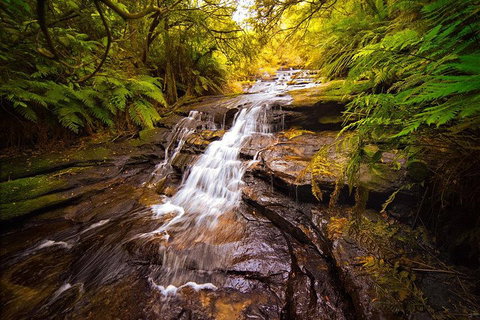 Fully Inclusive Blue Mountains Private Tour Inc Scenic World & Featherdale Entry - Book Restaurant 3