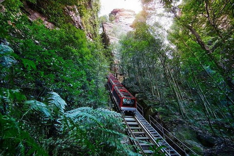 Fully Inclusive Blue Mountains Private Tour Inc Scenic World & Featherdale Entry - Book Restaurant 4