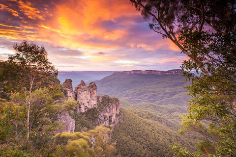 Fully Inclusive Blue Mountains Private Tour Inc Scenic World & Featherdale Entry - Book Restaurant 5