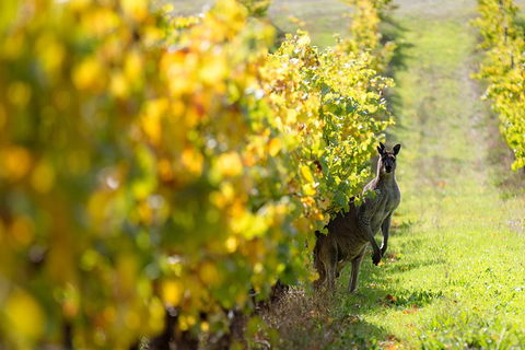 Margaret River 3 Day Escape - Book Restaurant 4