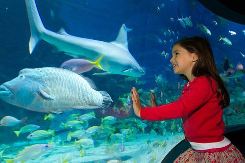 Melbourne BIG Ticket - LEGOLAND Discovery And SEA LIFE Melbourne - Book Restaurant 1