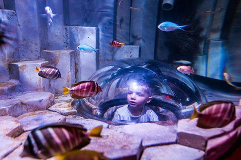 Melbourne BIG Ticket - LEGOLAND Discovery And SEA LIFE Melbourne - Book Restaurant 5