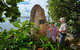 3 Day Cape Tribulation & Cooktown Tour From Cairns Or Port Douglas - thumb 0