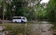 3 Day Cape Tribulation & Cooktown Tour From Cairns Or Port Douglas - thumb 3