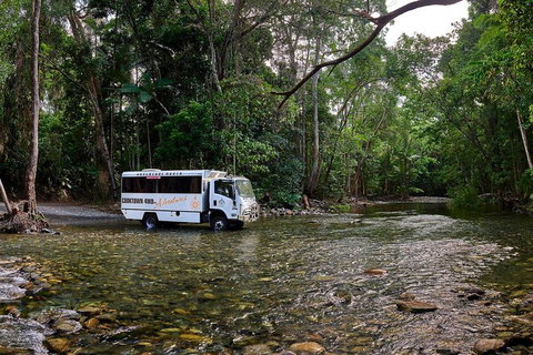 3 Day Cape Tribulation & Cooktown Tour From Cairns Or Port Douglas - Book Restaurant 3