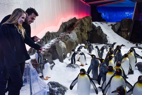 Penguin Passport At SEA LIFE Melbourne Aquarium - Book Restaurant 0