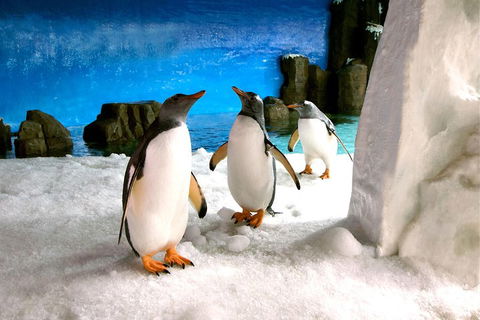 Penguin Passport At SEA LIFE Melbourne Aquarium - Book Restaurant 1
