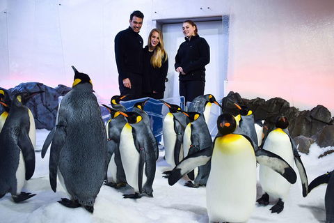 Penguin Passport At SEA LIFE Melbourne Aquarium - Book Restaurant 4
