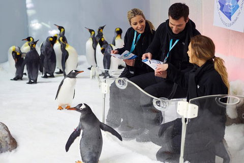 Penguin Passport At SEA LIFE Melbourne Aquarium - Book Restaurant 5