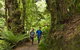 2-Day Great Ocean Road, Mornington Peninsula And Phillip Island Tour - thumb 5