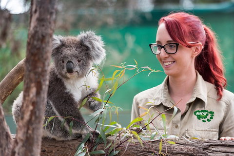 Small-Group Phillip Island Penguin Parade Day Tour From Melbourne - Book Restaurant 0