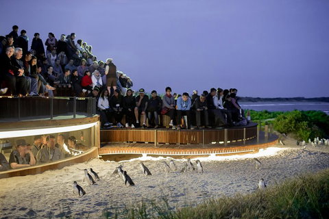 Small-Group Phillip Island Penguin Parade Day Tour From Melbourne - Book Restaurant 3