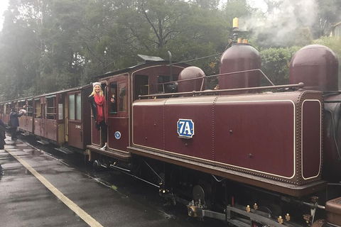 Puffing Billy, Moonlit Sanctuary & Penguins Day Tour - Book Restaurant 4