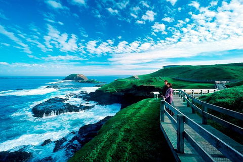 Melbourne Combo: Great Ocean Road + Phillip Island Express + Attraction Pass - Book Restaurant 1