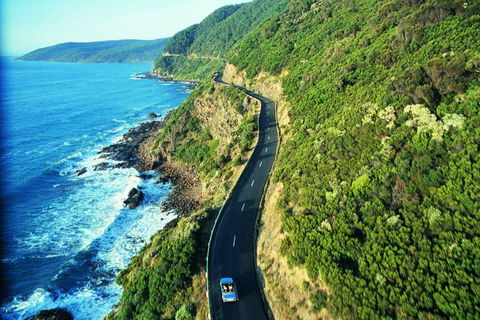 Melbourne Combo: Great Ocean Road + Phillip Island Express + Attraction Pass - Book Restaurant 4