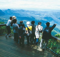Springbrook National Park  Gold Coast Full Day Luxury Tour from Brisbane - Book Restaurant