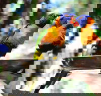 Wildlife Habitat Port Douglas - Book Restaurant