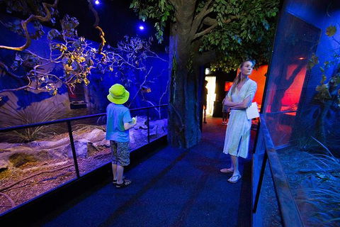 Wildlife Habitat Port Douglas - Book Restaurant 4