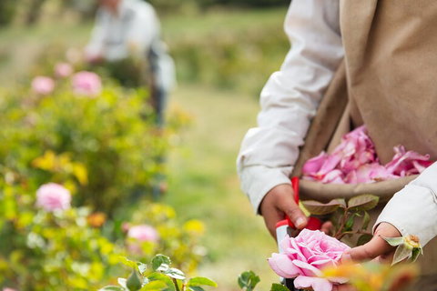 3 Days Adelaide Hills Wellness Escape - Book Restaurant 3