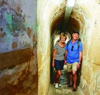Rottnest Island Historical Train and Tunnel Tour from Hillarys Boat Harbour - Book Restaurant
