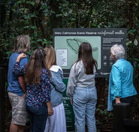 Sunshine Coast Hinterland and Noosa Day Trip from Brisbane Including Eumundi Markets and Ginger Factory - Book Restaurant