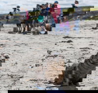 Kangaroo Island in a Day Tour from Adelaide - Book Restaurant