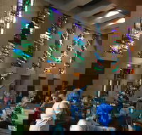 Cairns Shore Excursion Cairns City Sights  Surrounds Tour - Book Restaurant