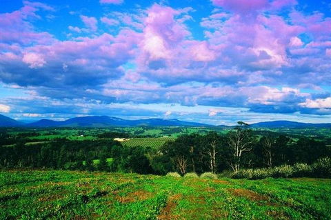 CHEVY CONVERTIBLE Package For 4 -Wine Lunch Cheese & Chocolate From Yarra Valley - Book Restaurant 4