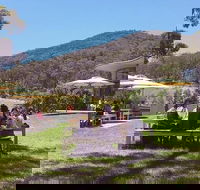 Yarra Valley Wine and Cider Tours by Classic Convertibles from Melbourne - Book Restaurant