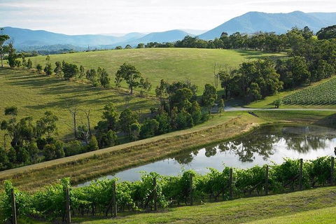Yarra Valley Wine And Cider Tours By Classic Convertibles From Melbourne - Book Restaurant 1