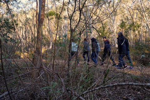 Wild Australian Wildlife 4WD Tour From Sydney - Book Restaurant 0