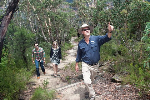 Small-Group Blue Mountains Tour With Bush Walks And Featherdale Wildlife Park - Book Restaurant 0