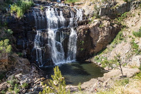 Great Ocean Road Grampians 3 Day National Park Tour Melbourne Roundtrip - Book Restaurant 2